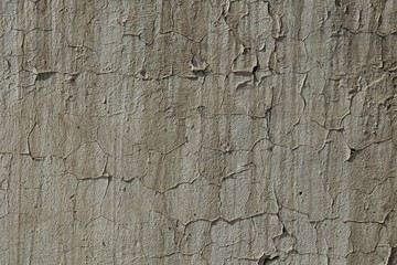 Texture putty gray cracked surface.