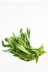 夏野菜　空芯菜