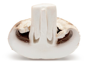 Halved mushroom (champignon, cut foot, Bisporus agaricus) and raw. Isolated on white background