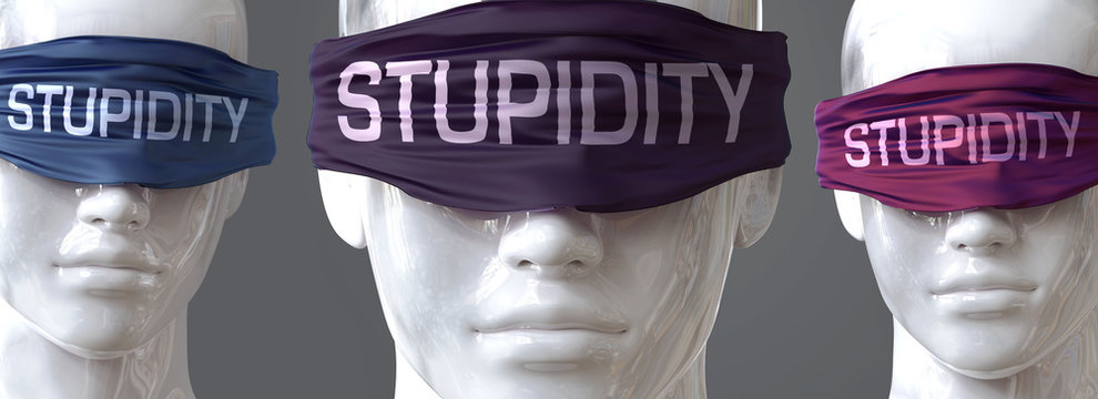 Stupidity can blind our views and limit perspective - pictured as word Stupidity on eyes to symbolize that Stupidity can distort perception of the world, 3d illustration
