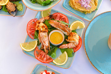 appetizers with yogurt, tomatoes, cheese, lemon, greens, mussels, olives, snacks on white background, ready for service, should be used as background.