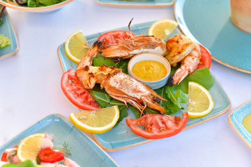 appetizers with yogurt, tomatoes, cheese, lemon, greens, mussels, olives, snacks on white background, ready for service, should be used as background.