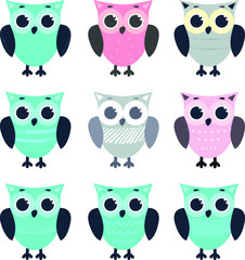 Set of cute cartoon owls in different style and color  on white background
