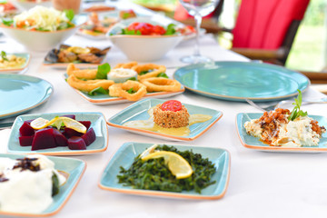 appetizers with yogurt, tomatoes, cheese, lemon, greens, mussels, olives, snacks on white background, ready for service, should be used as background.