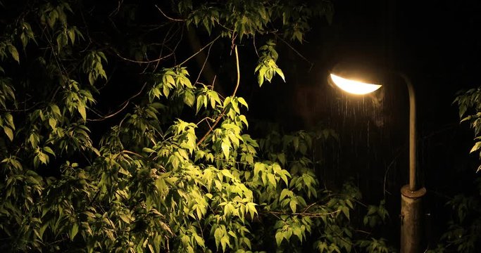 Street lamp shining and steaming while it is raining at night