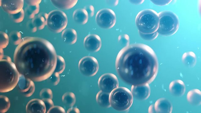 Origins of life series. Spawn or bacterium float in blue sea water. 3 other clips available. 3D animation.