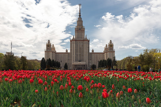 View of Lomonosov Moscow State University in Moscow, Russia. Scenery of Moscow with Main building of MSU in summer