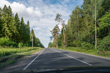 Road trip across home country because of travel ban - prohibition on journey abroad. Domestic tourism. Car moves on road through sunny summer forest.