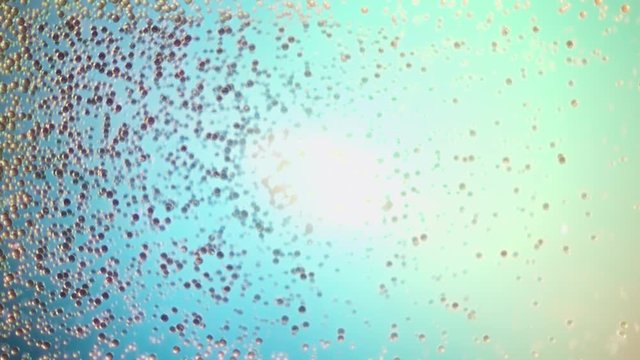 Origins of life. Thousands of eggs or microorganisms floating in water o air with sunlight shinning straight at the camera. 3 other clips available.