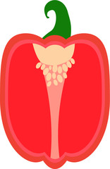 Bell pepper cut half vegetable vector icon