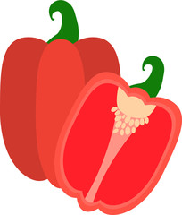 Bell pepper cut half vegetable vector icon