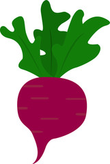 Radish vegetable vector icon
