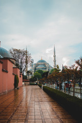 Fototapeta na wymiar Istanbul Sultanahmet mosque cathedral in the rain