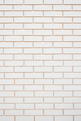 White rectangular ceramic tiles