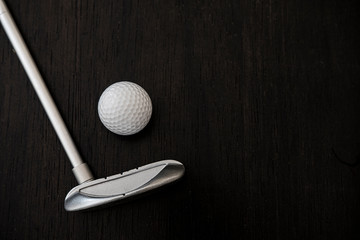 Metal golf club and a golf ball in a dark wood