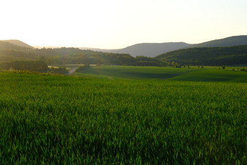 Fototapeta premium Landschaft abends 