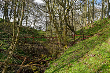 Fototapeta premium Sunlight and long shadows on the steep sides of a small River Valley with a stone footbridge hidden amongst the Trees.