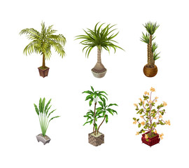 Fototapeta na wymiar Indoor plants and flower on a light background for interior design in isometric. Vector illustration