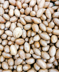 
pecans in a peel in a bag on a store window for background, advertising