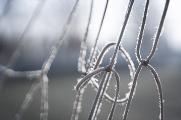 Red de fútbol en una gélida mañana de invierno © Cristina