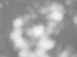 abstract shadow of leaf on white concrete wall