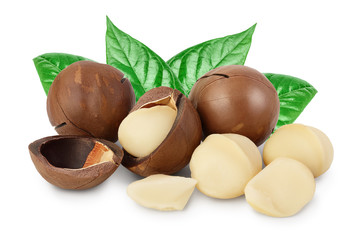 macadamia nuts isolated on white background with clipping path and full depth of field