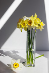 a bouquet of yellow daffodils in a transparent vase, one flower lies nearby
