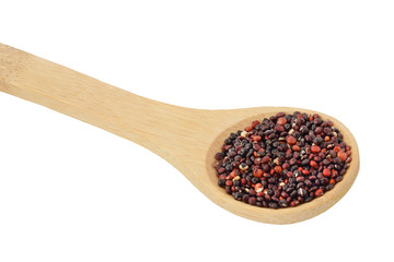 black quinoa seeds in wooden spoon isolated on white background with clipping path and full depth of field