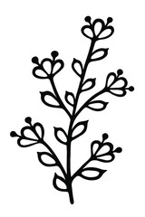 Single branch with leaves in ink Isolated on white background. Hand drawn vector decorative element in doodle style for wedding invitation and decoration, postcard, flyer, banner or website