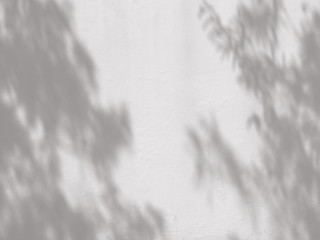 abstract shadow of leaves on white wall