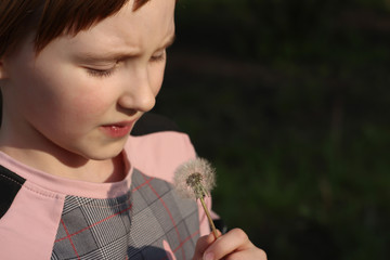 A girl blows on a dandelion. Air dandelion. A child holds a dry dandelion.