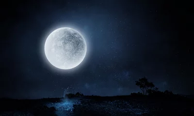 Afwasbaar Fotobehang Volle maan Full moon over dark night city