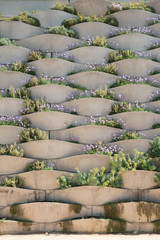 Valencia Central Park (Valencia - Spain)