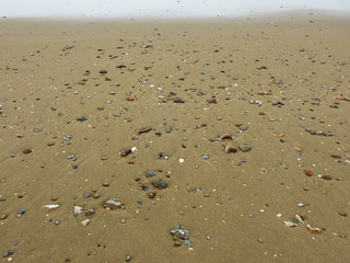 sand beach with shells and stone