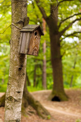 wooden bird house