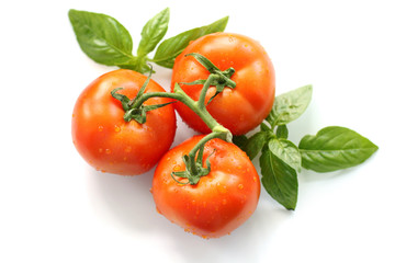 Red tomato and basil isolated on white background. Top view