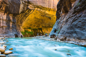 zion narrow  with  vergin river in Zion National park,Utah,usa.
