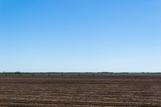 Irrigation system in fields of cereal crops