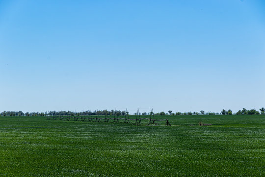 Irrigation system in fields of cereal crops