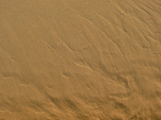 Fototapeta na wymiar sand beach texture