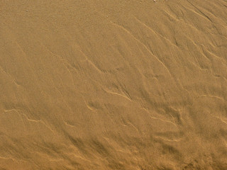 sand beach texture