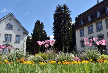 Schlosspark in Bad Säckingen