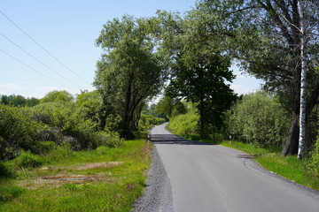 Leere, sonnige Landstraße im Spreewald