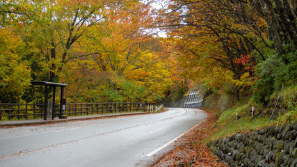 Beautiful scene of empty road on mountain with beautiful colorful autumn trees for background with copy space , Nikko