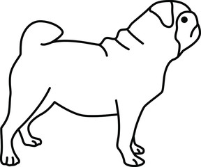An icon illustration of a Pug