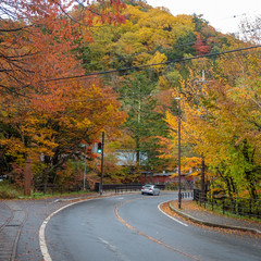 Small street on mountain at rural area with beautiful colorful maple trees for background with copy space , Nikko