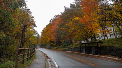Bus stop with empty street at rural area among colorful autumn trees for background with copy space , Nikko