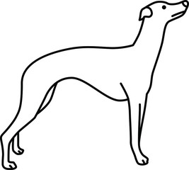 An icon illustration of a Whippet