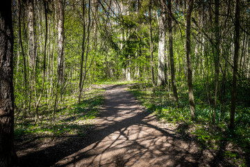 Spring views of landscape parks and squares of Saint Petersburg