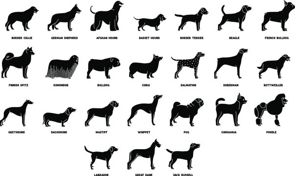 An icon illustration of Dogs